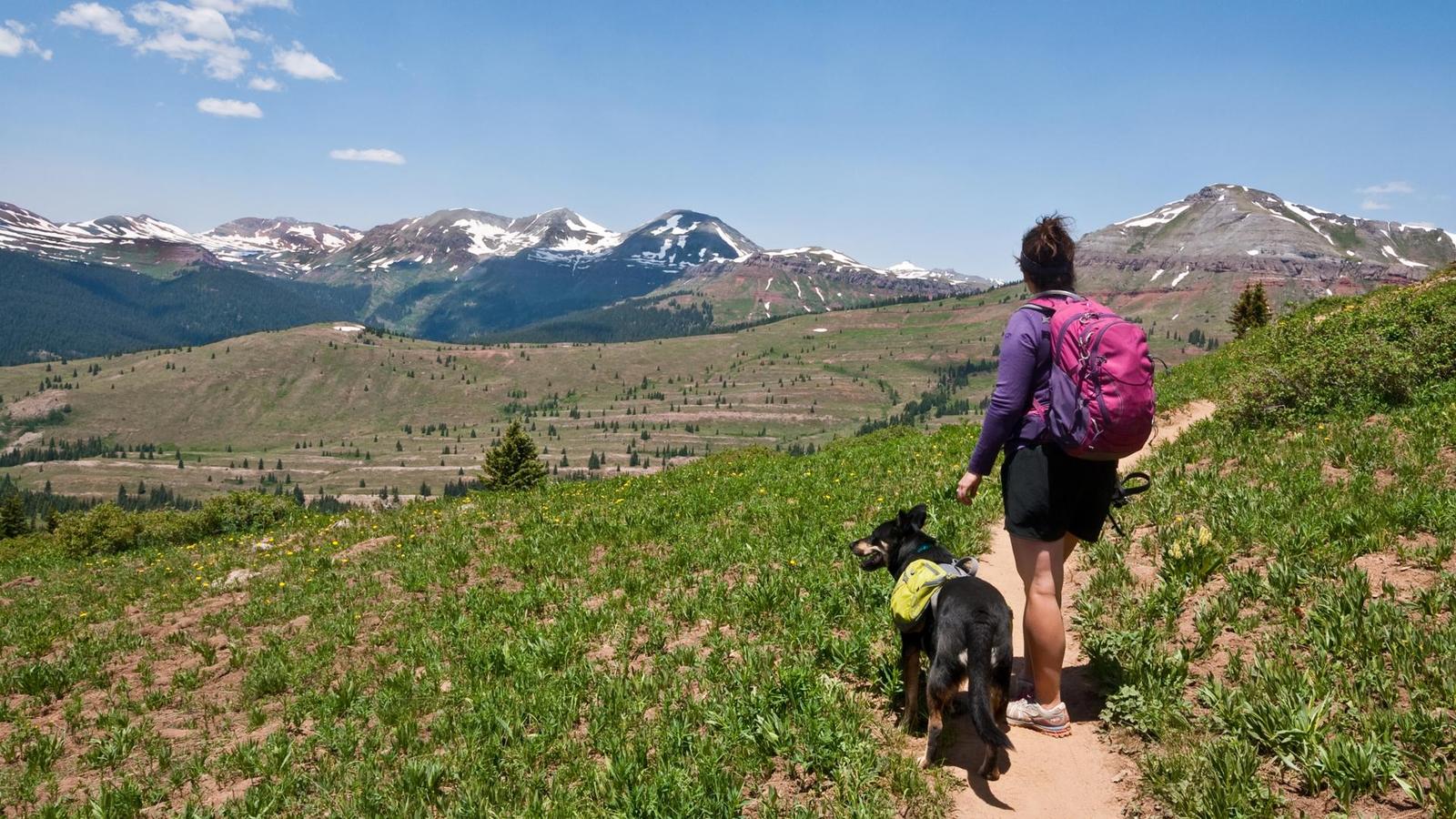 A hiker and her dog on a high mountain trail in Colorado